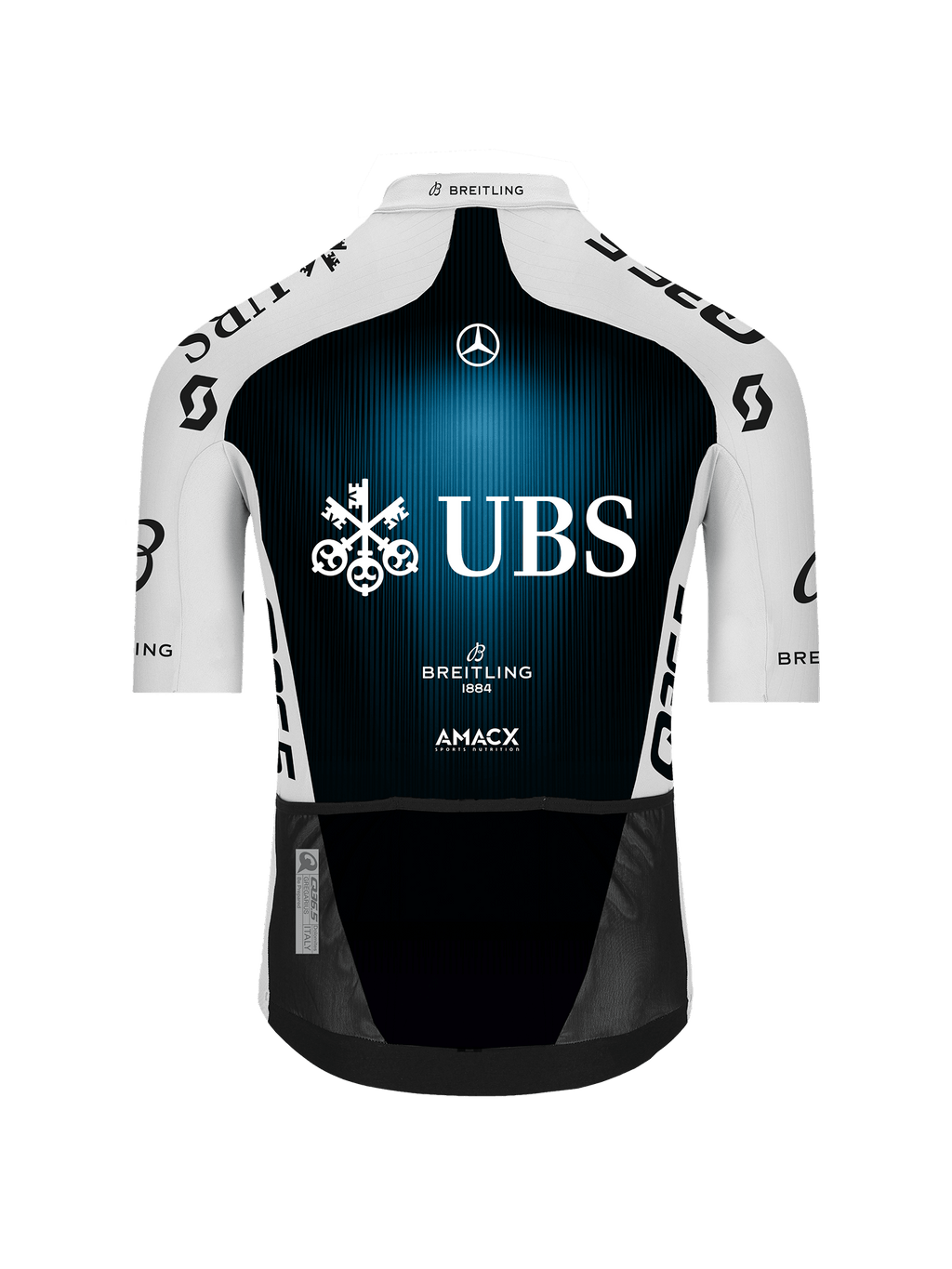 Gregarius Q36.5 Pro Cycling Team Jersey