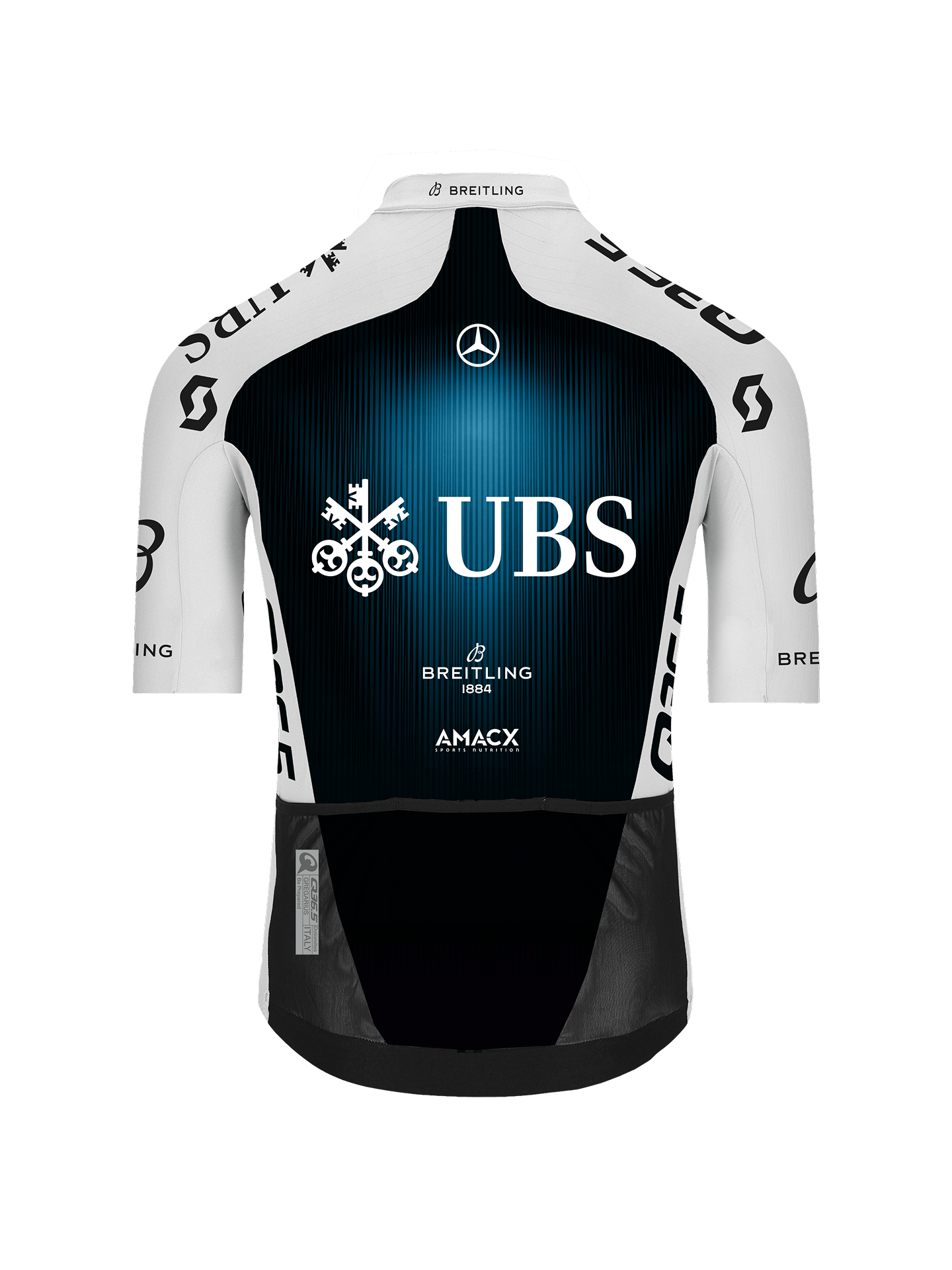 Gregarius Q36.5 Pro Cycling Team Jersey