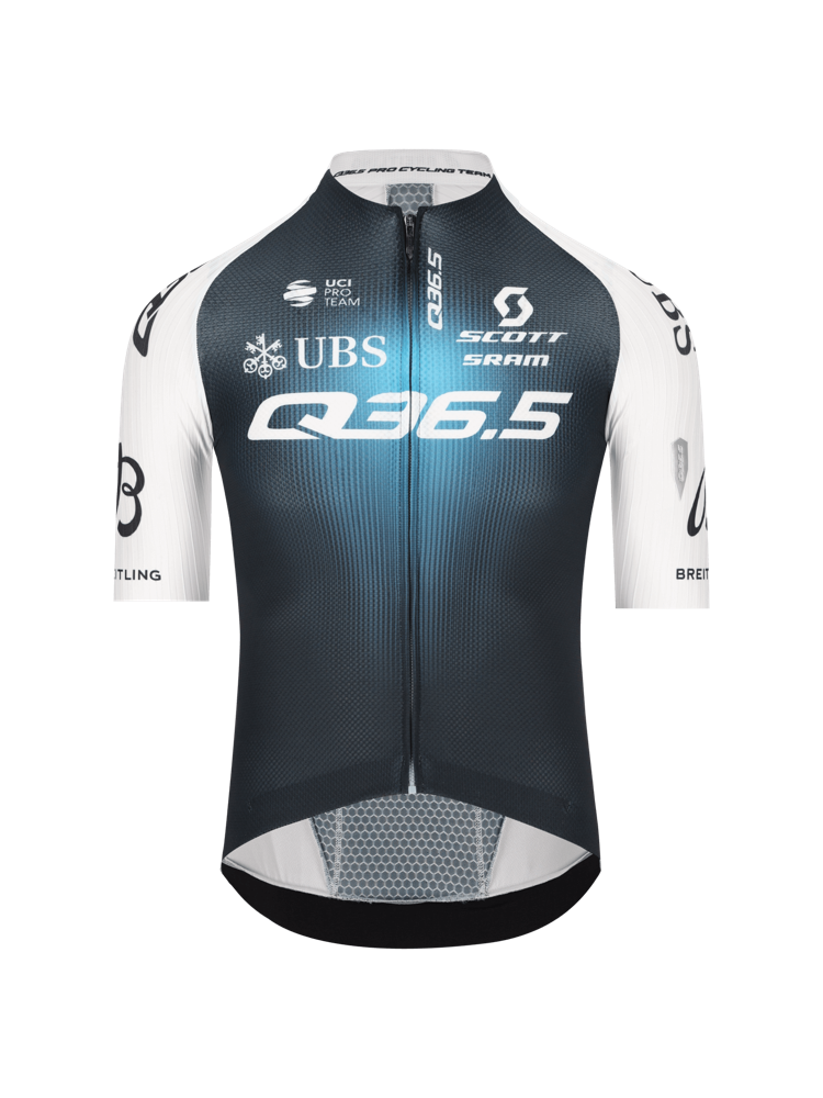 Gregarius Q36.5 Pro Cycling Team Jersey (2025)
